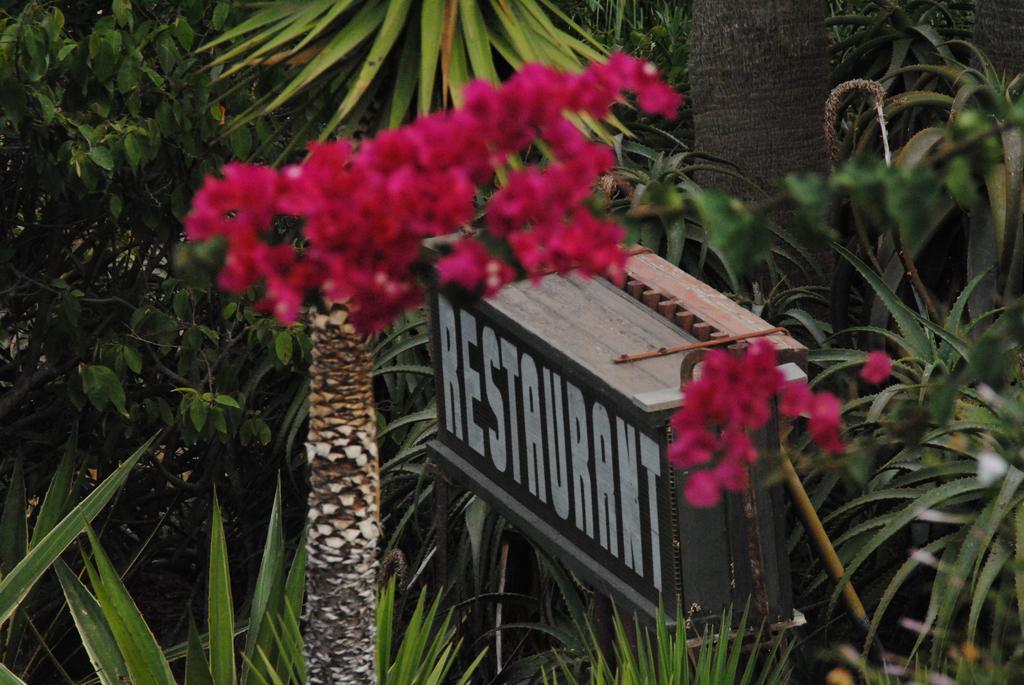 La Ferma Bed & Breakfast M'Diq Ngoại thất bức ảnh